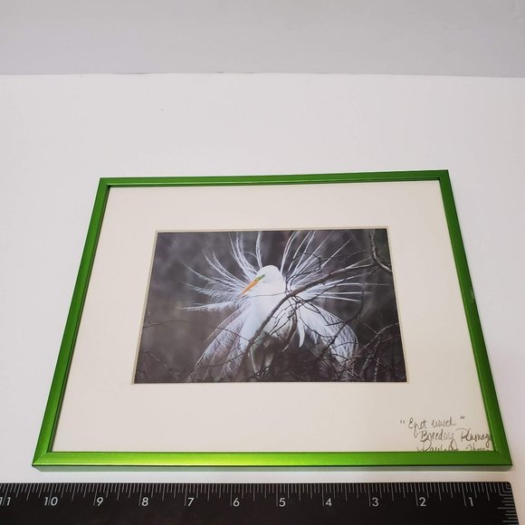 Framed Egret Photograph Print, signed Paulette Thomas, Matted, Bird Art - Picture 6 of 7